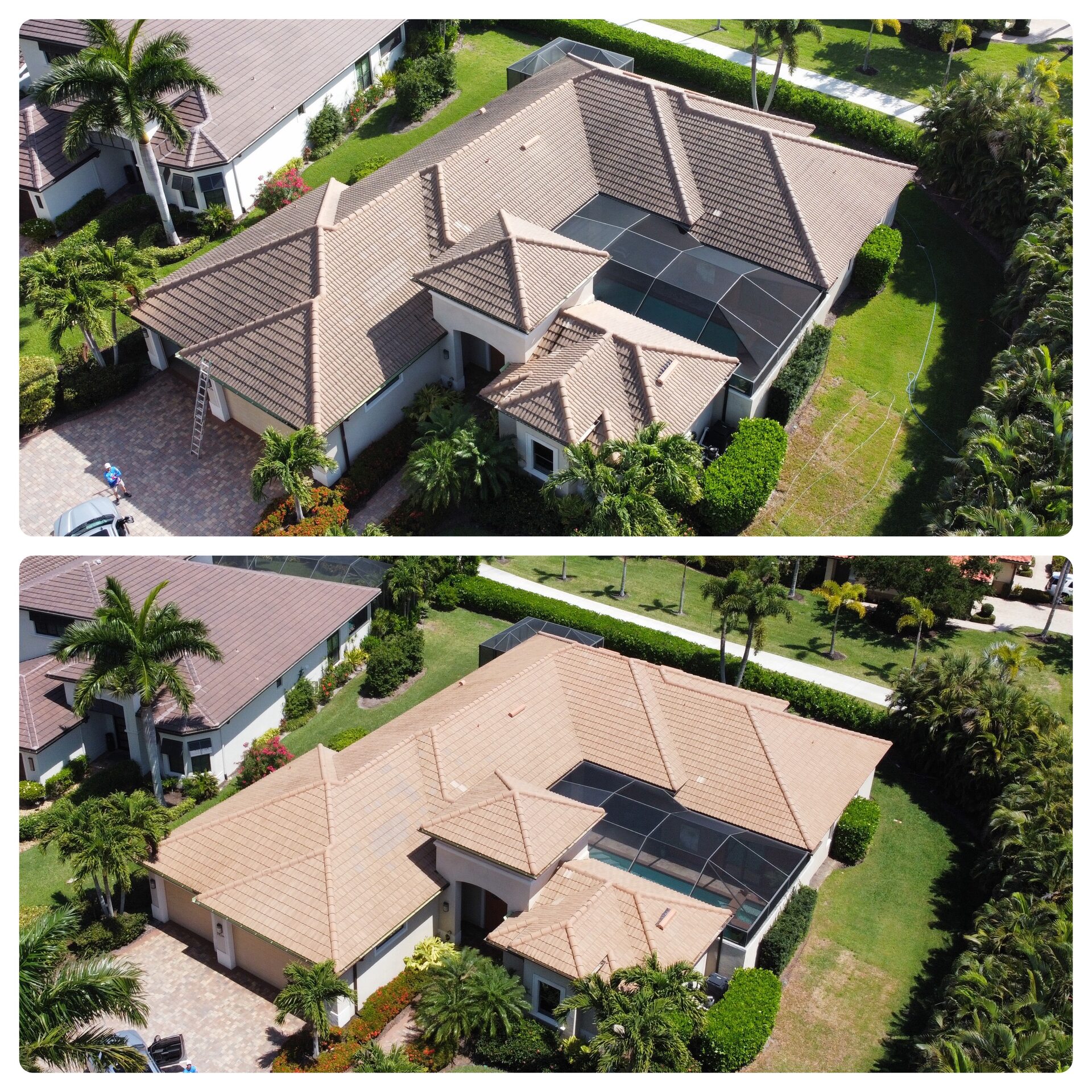 Professional roof cleaning service in Naples Florida