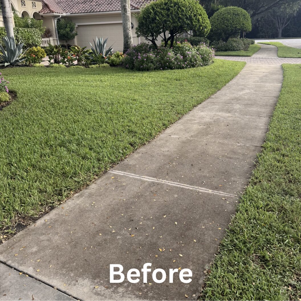 Before ECO Friendly wash treatment — surface with algae and organic growth