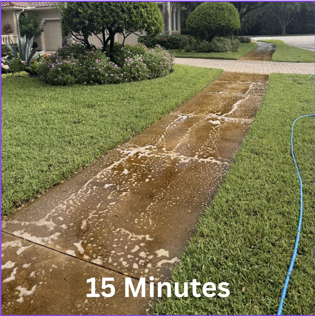 15 minutes after ECO Friendly wash treatment